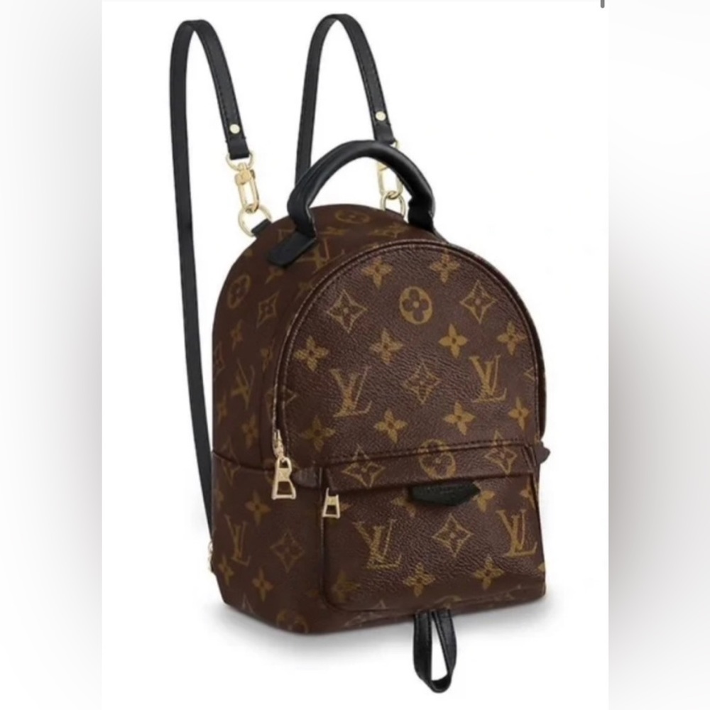 Louis Vuitton Palm Springs Mini Backpack
Monogram Canvas